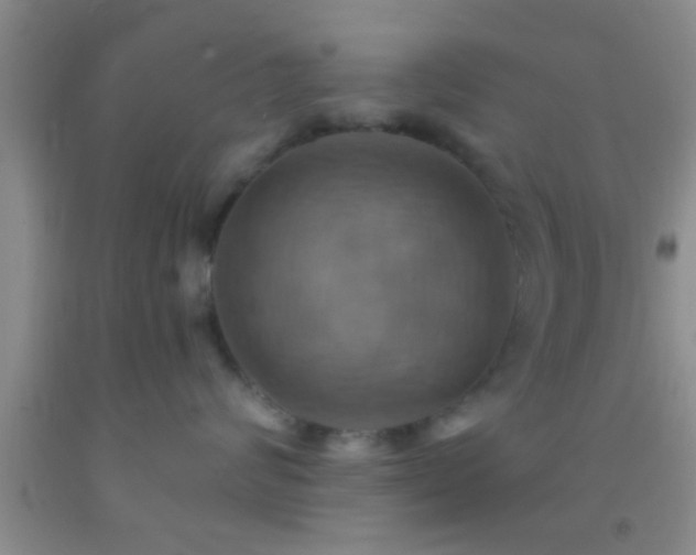 X0000092110624200709191329