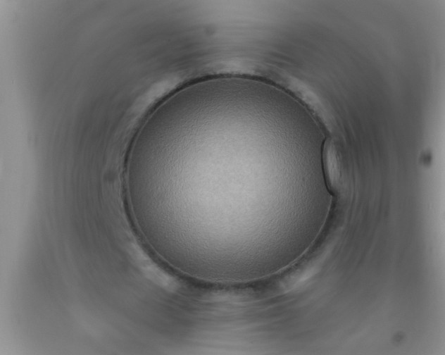 X0000092110625200709191328