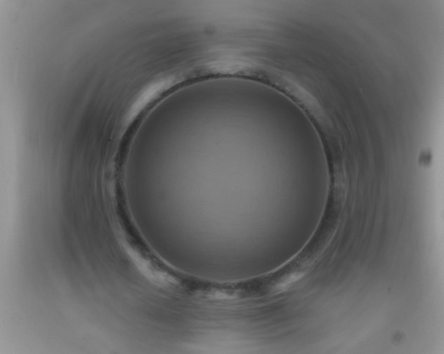 X0000092110626200709191328