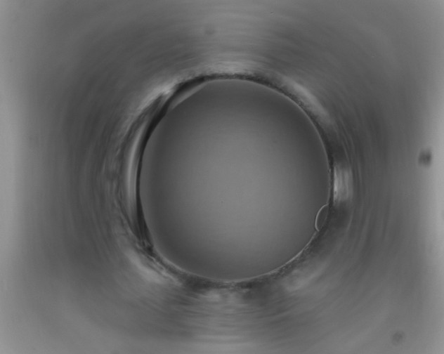 X0000092110627200709191328