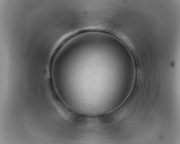 X0000092110628200709191328