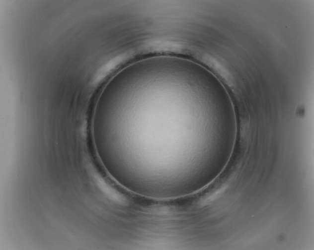 X0000092110629200709191329