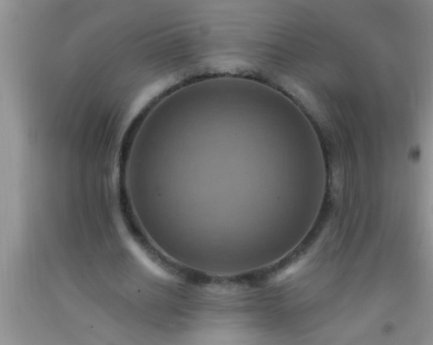 X0000092110630200709191329