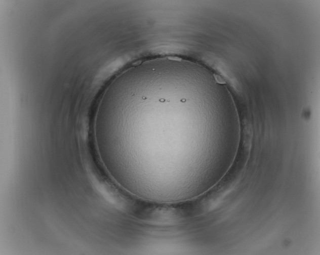 X0000092110631200709191329