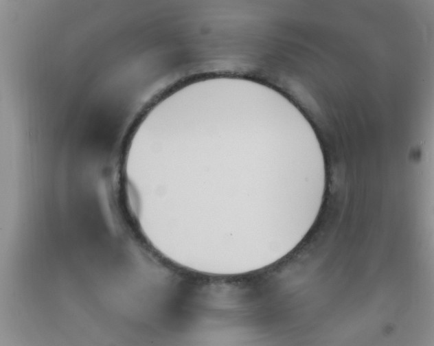 X0000092110632200709191329