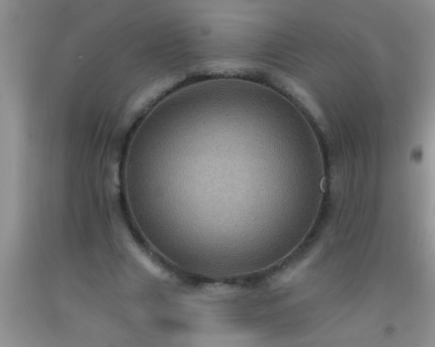 X0000092110633200709191329