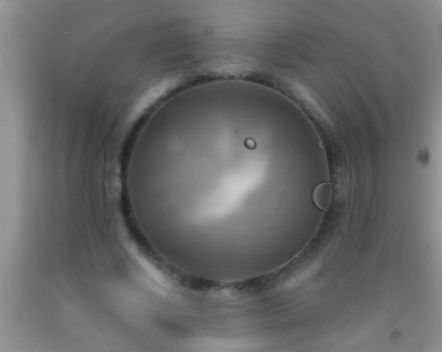 X0000092110634200709191329