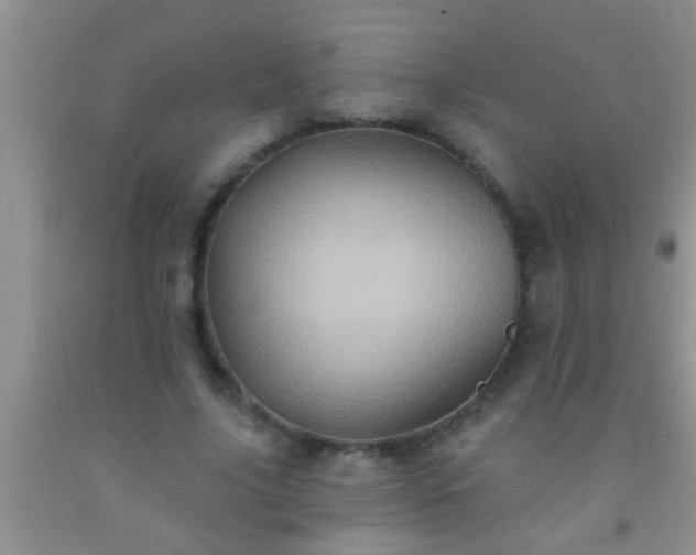 X0000092110635200709191329