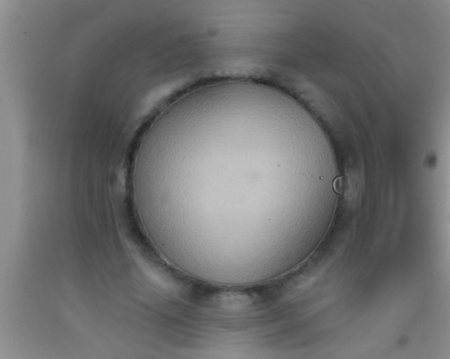 X0000092110636200709191329