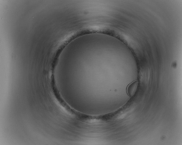 X0000092110637200709191329