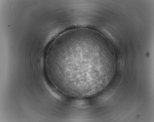 X0000092110638200709191329