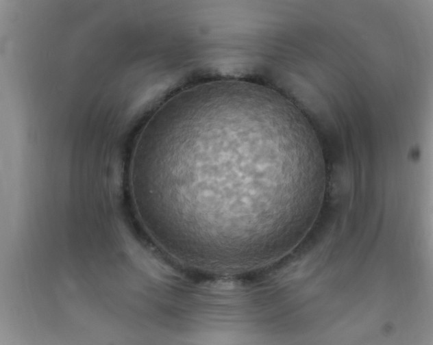 X0000092110639200709191329