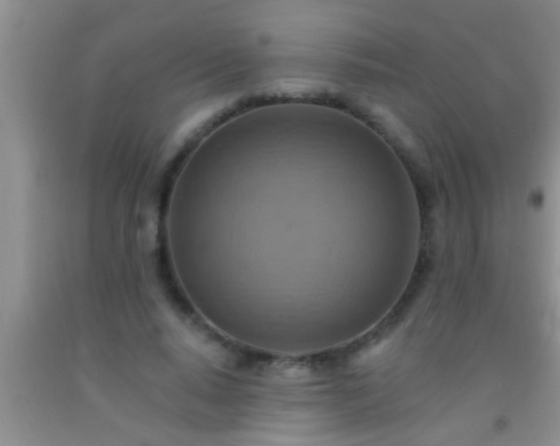 X0000092110640200709191329