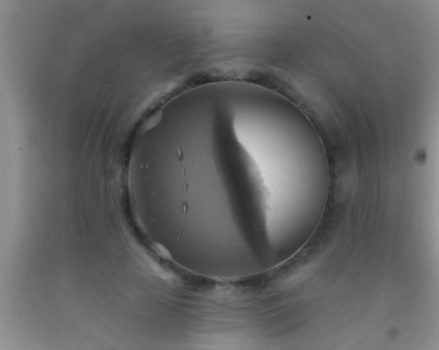 X0000092110641200709191329