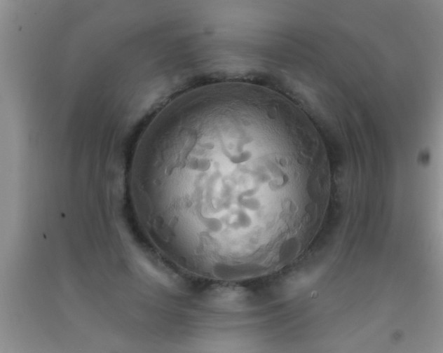 X0000092110642200709191329