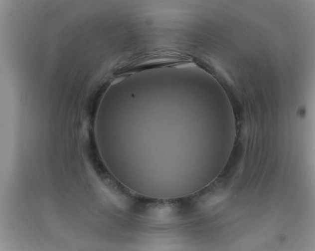 X0000092110643200709191329