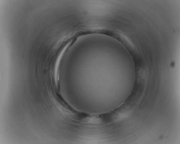 X0000092110644200709191329