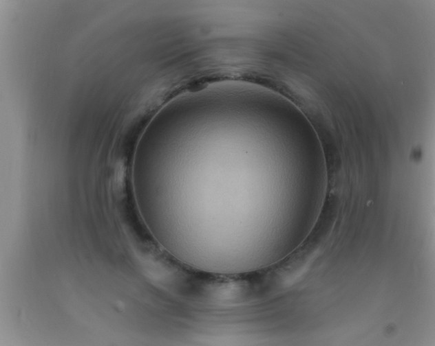 X0000092110646200709191329