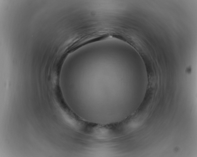 X0000092110648200709191329