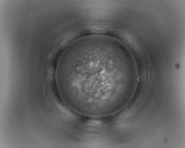 X0000092110649200709191329