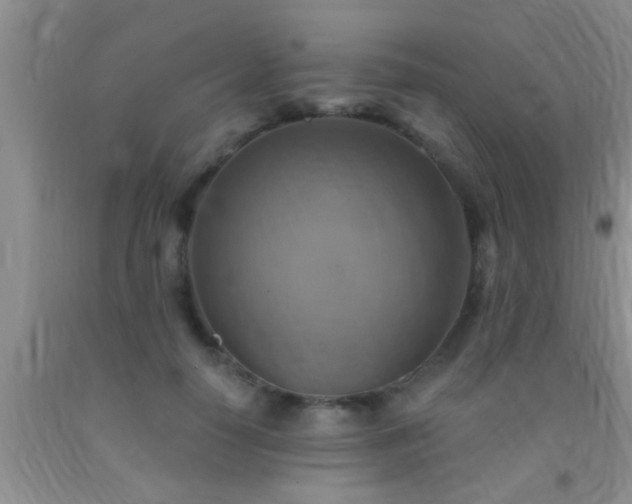 X0000092110650200709191329