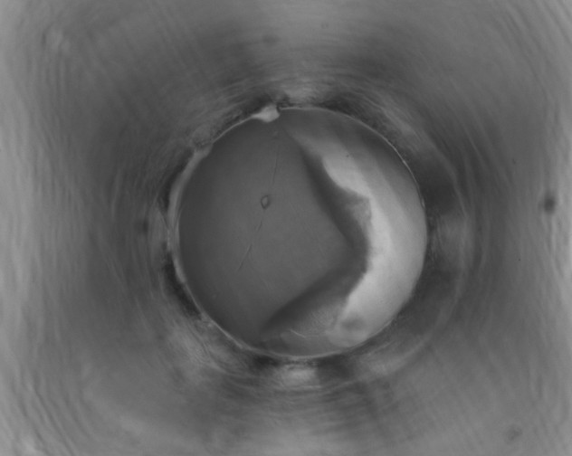 X0000092110651200709191329