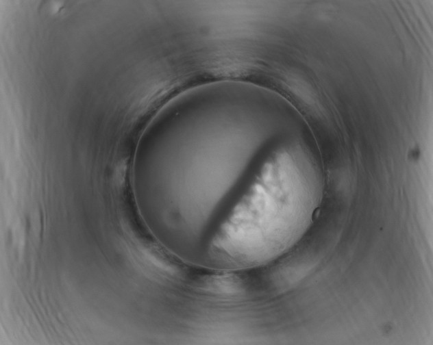 X0000092110652200709191329