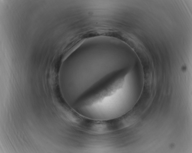 X0000092110653200709191329