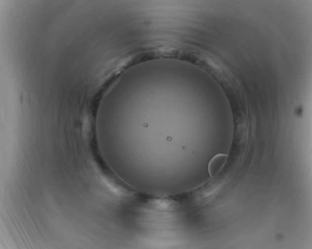 X0000092110654200709191329