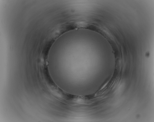 X0000092110655200709191329