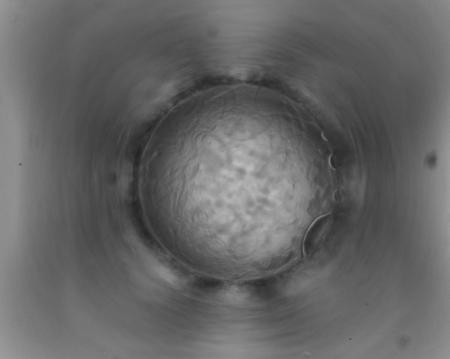 X0000092110656200709191329