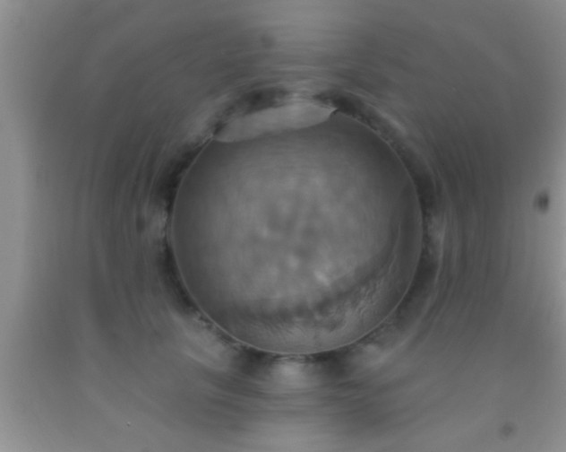 X0000092110657200709191329