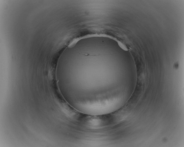 X0000092110658200709191329