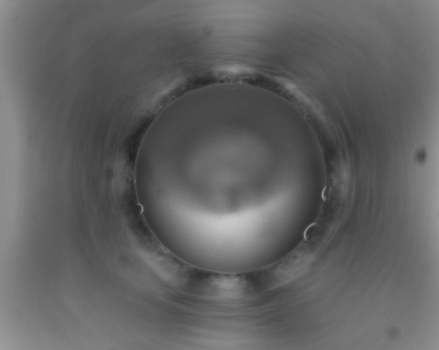 X0000092110659200709191329