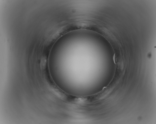 X0000092110660200709191329