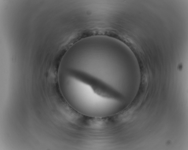 X0000092110661200709191329