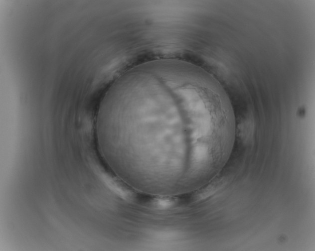 X0000092110662200709191329