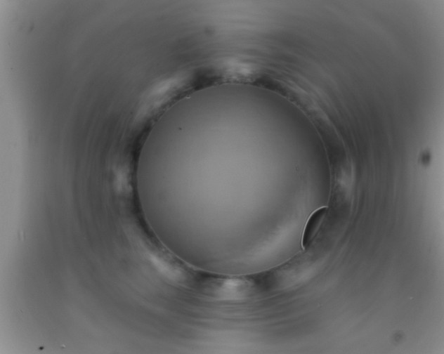 X0000092110663200709191329