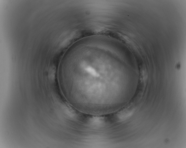 X0000092110664200709191329