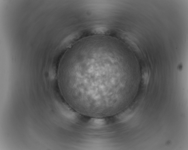 X0000092110665200709191329