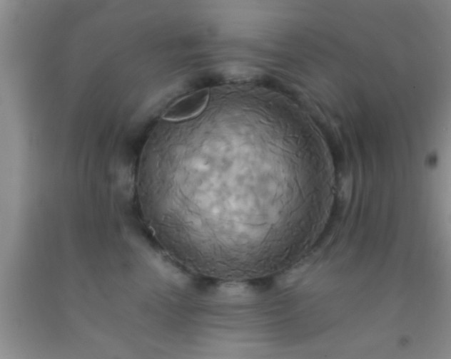 X0000092110666200709191329