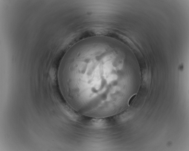 X0000092110667200709191329