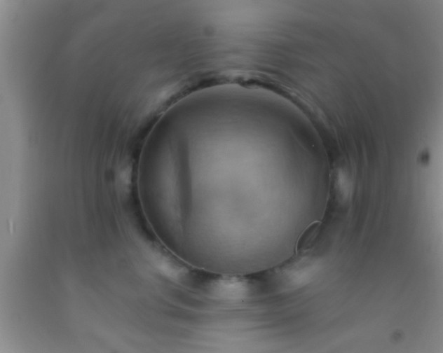 X0000092110668200709191329