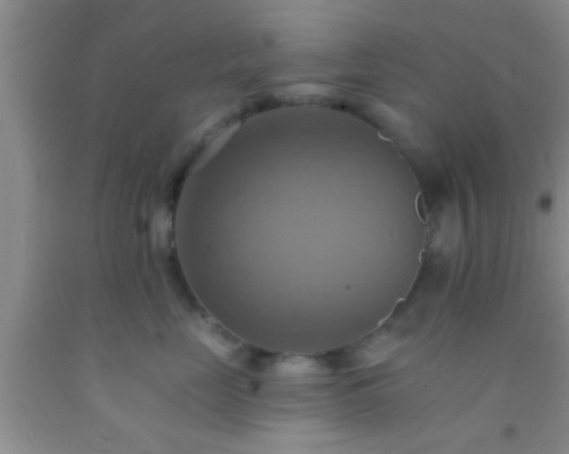 X0000092110669200709191329