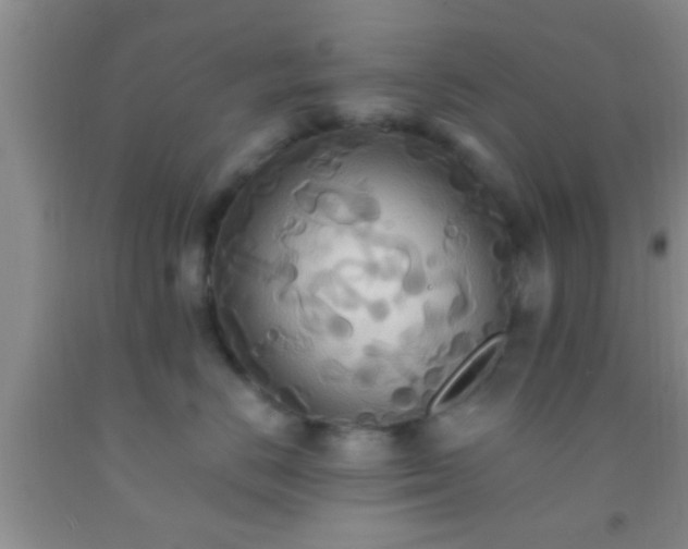 X0000092110670200709191329