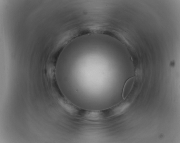 X0000092110671200709191329