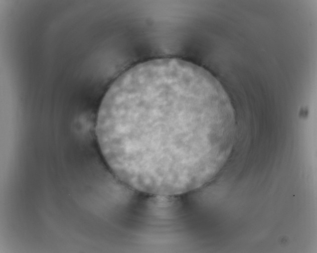 X0000092110672200709191329