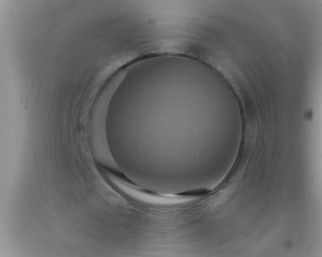 X0000092110673200709191328