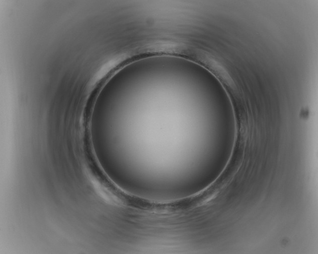 X0000092110674200709191328