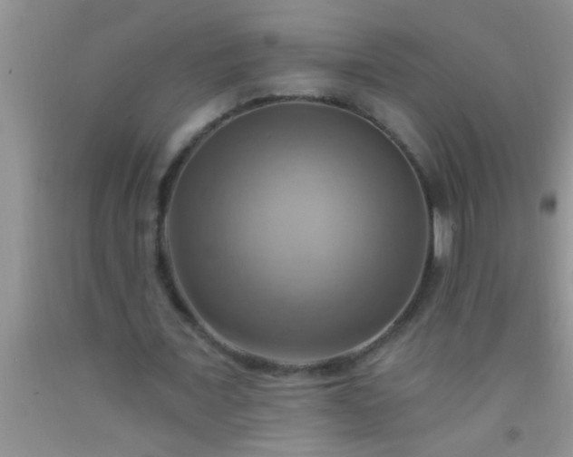 X0000092110675200709191328